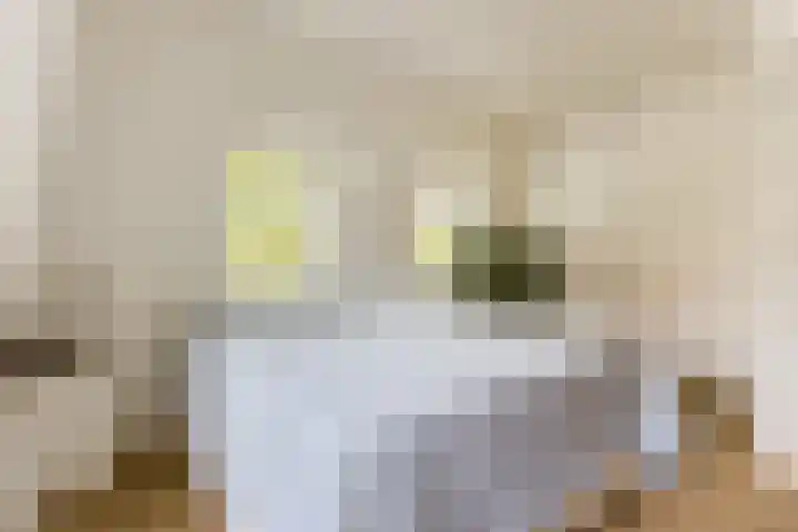 Tesselschadelaan 9 Bussum thumbnail 33
