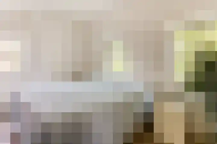 Tesselschadelaan 9 Bussum thumbnail 34