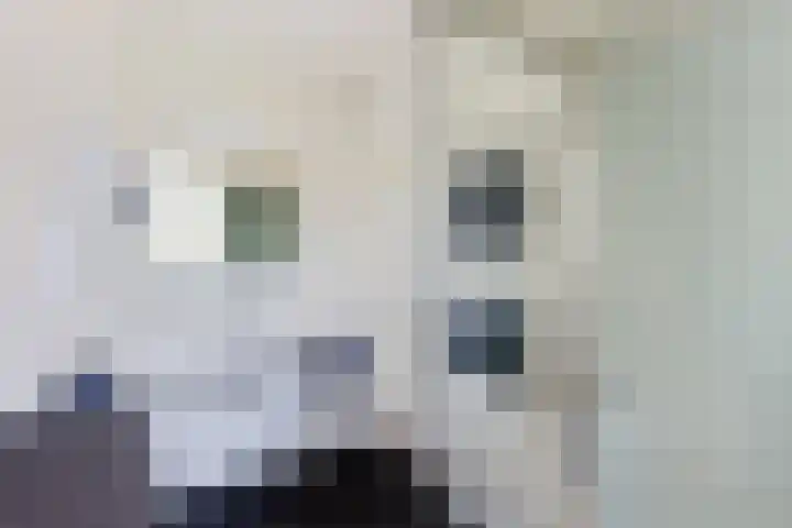 Tesselschadelaan 9 Bussum thumbnail 37