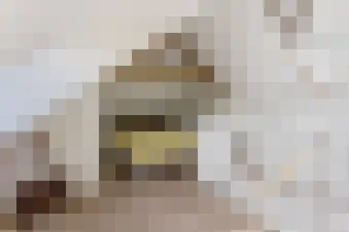 Tesselschadelaan 9 Bussum thumbnail 42