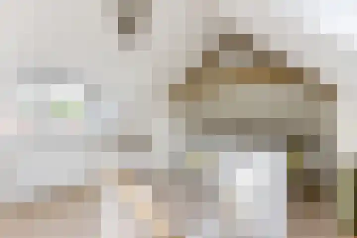 Tesselschadelaan 9 Bussum thumbnail 43