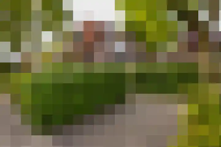 Tesselschadelaan 9 Bussum thumbnail 45