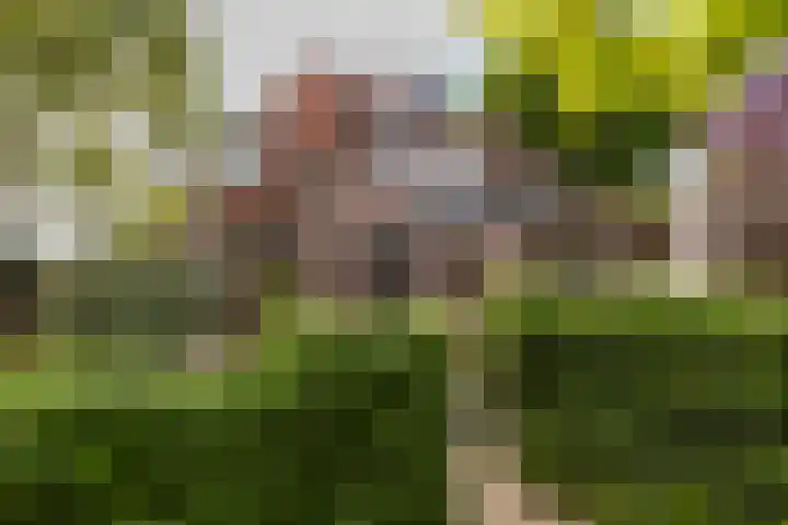 Tesselschadelaan 9 Bussum thumbnail 46