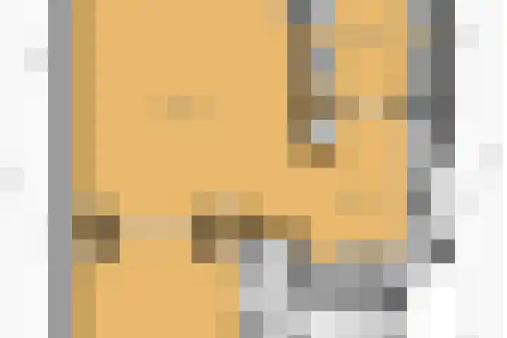 Tesselschadelaan 9 Bussum thumbnail 5