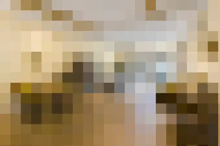 Tesselschadelaan 9 Bussum thumbnail 9