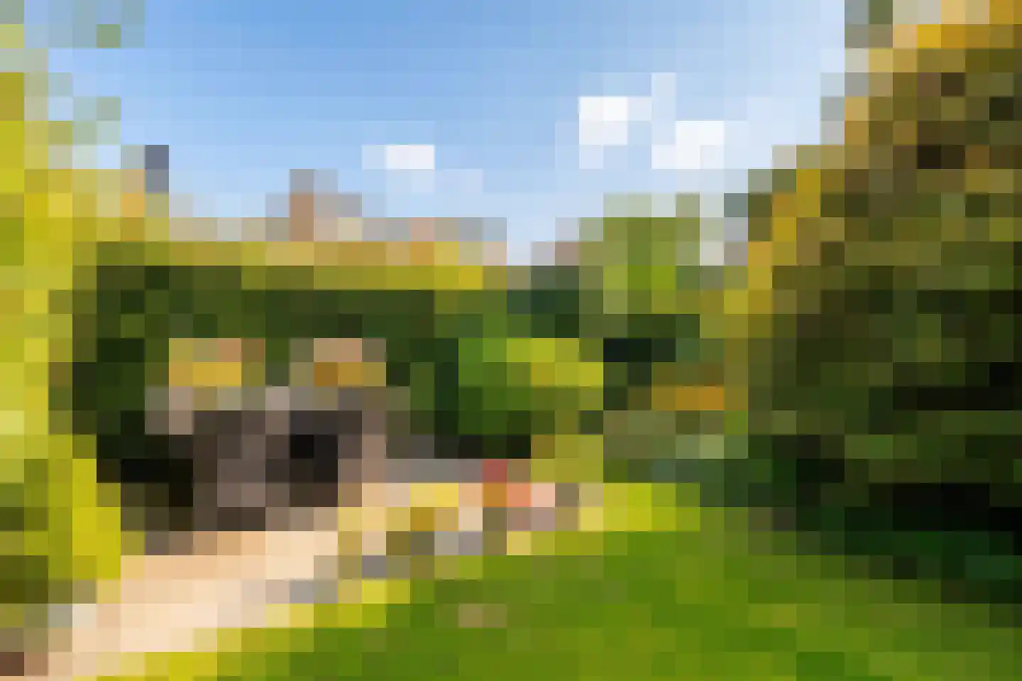 Tesselschadeplantsoen 10 Driehuis NH thumbnail 10