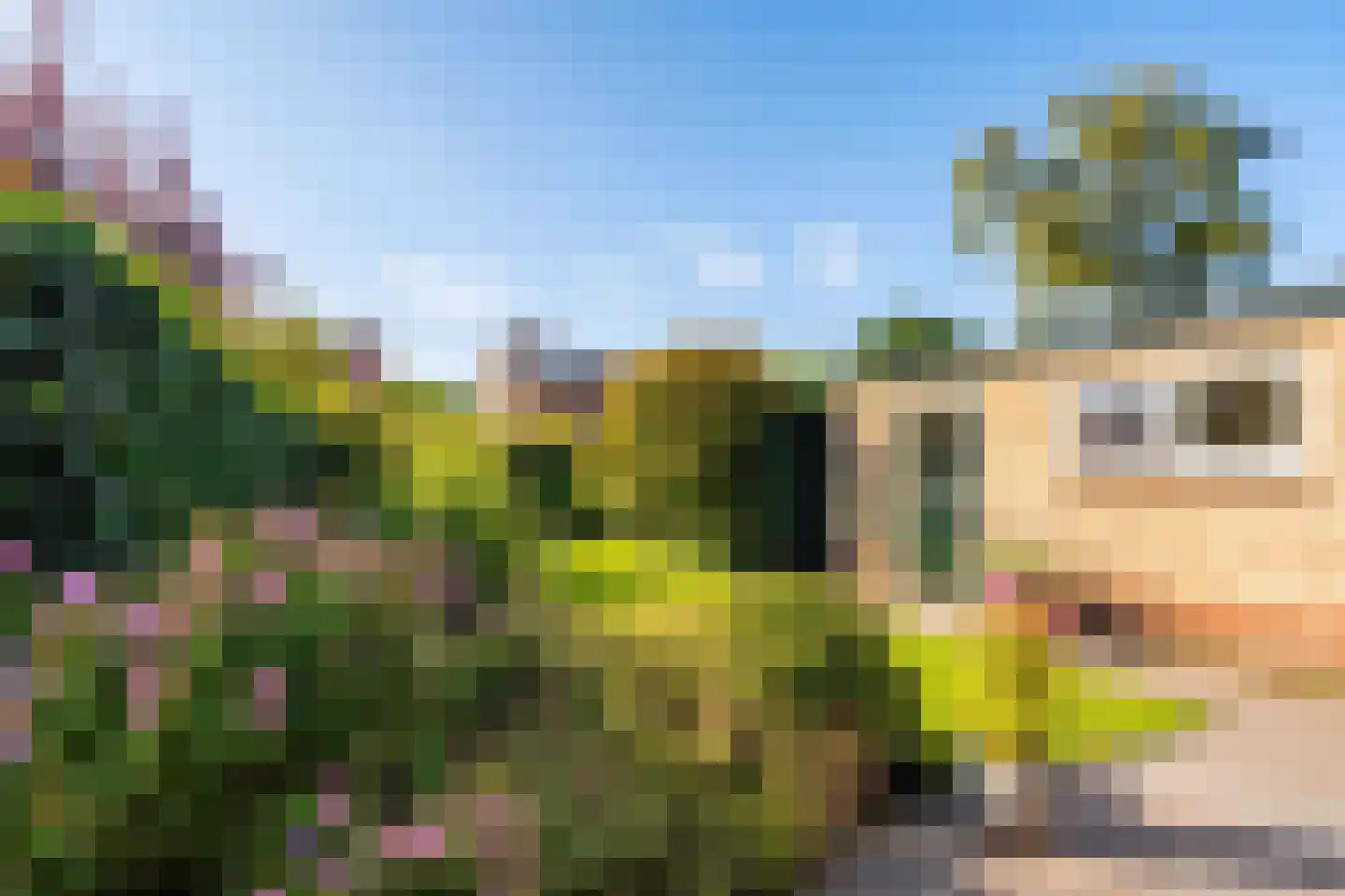 Tesselschadeplantsoen 10 Driehuis NH thumbnail 11