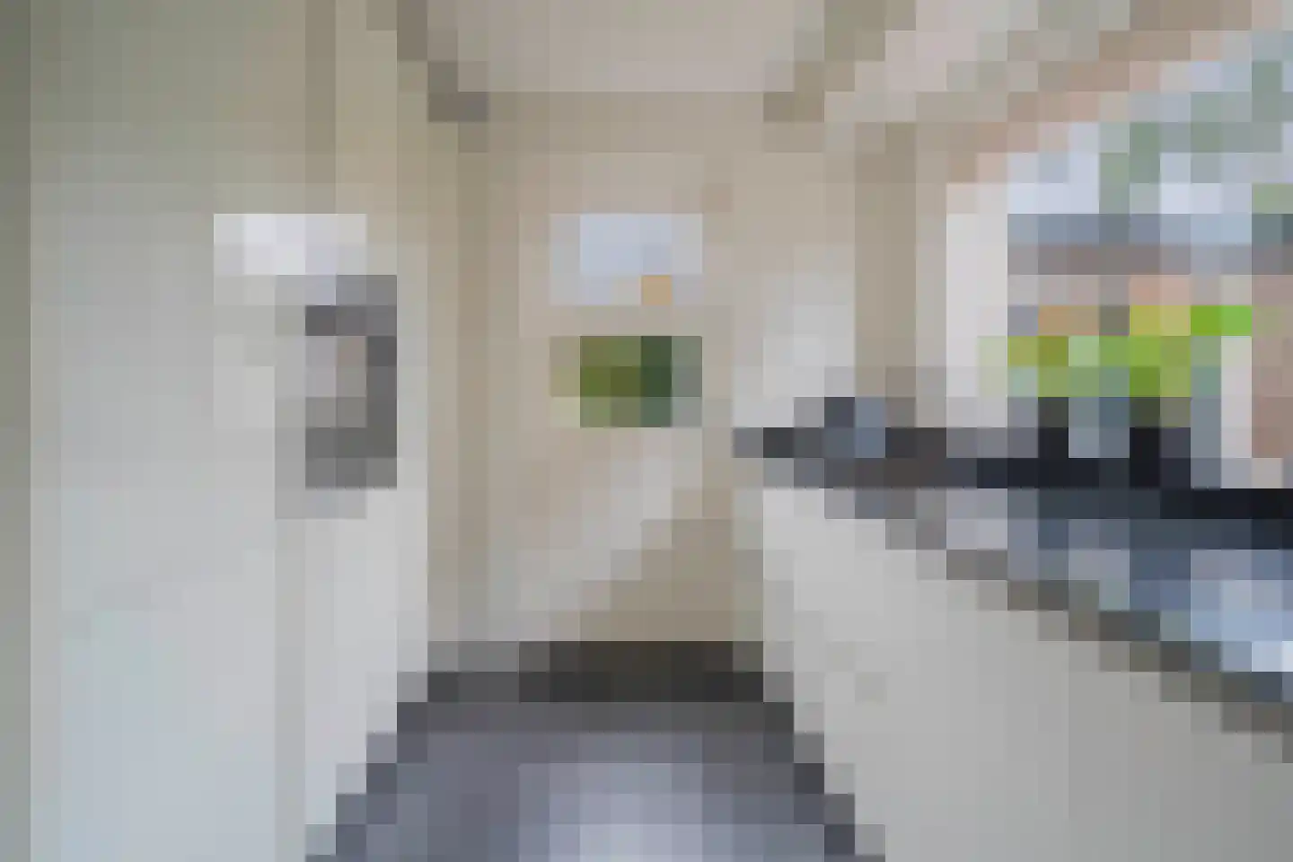 Tesselschadeplantsoen 10 Driehuis NH thumbnail 15