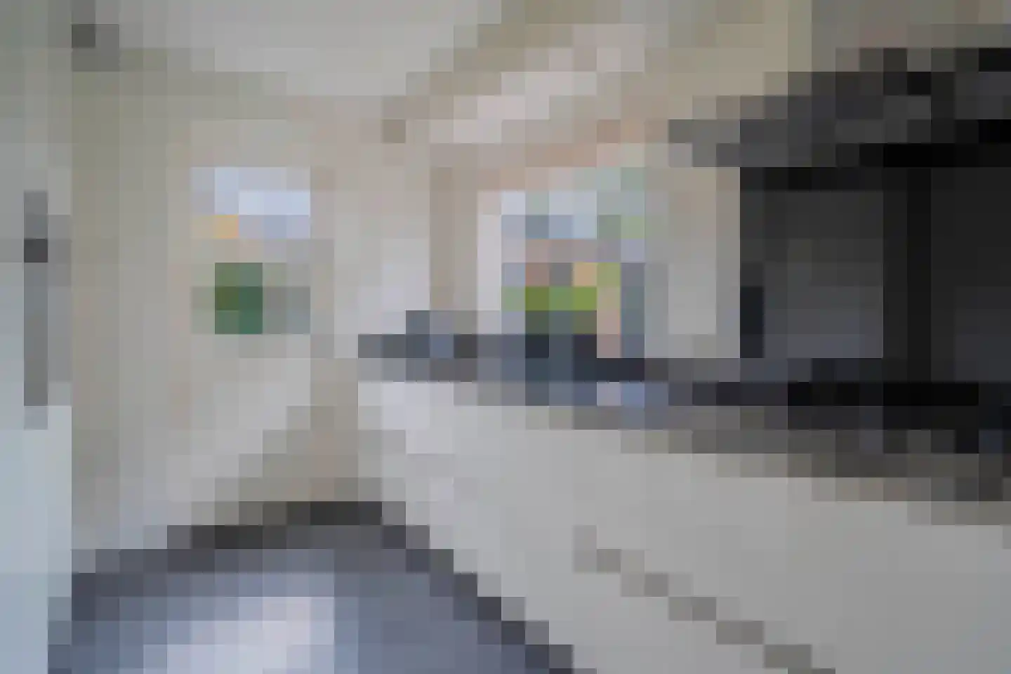 Tesselschadeplantsoen 10 Driehuis NH thumbnail 16