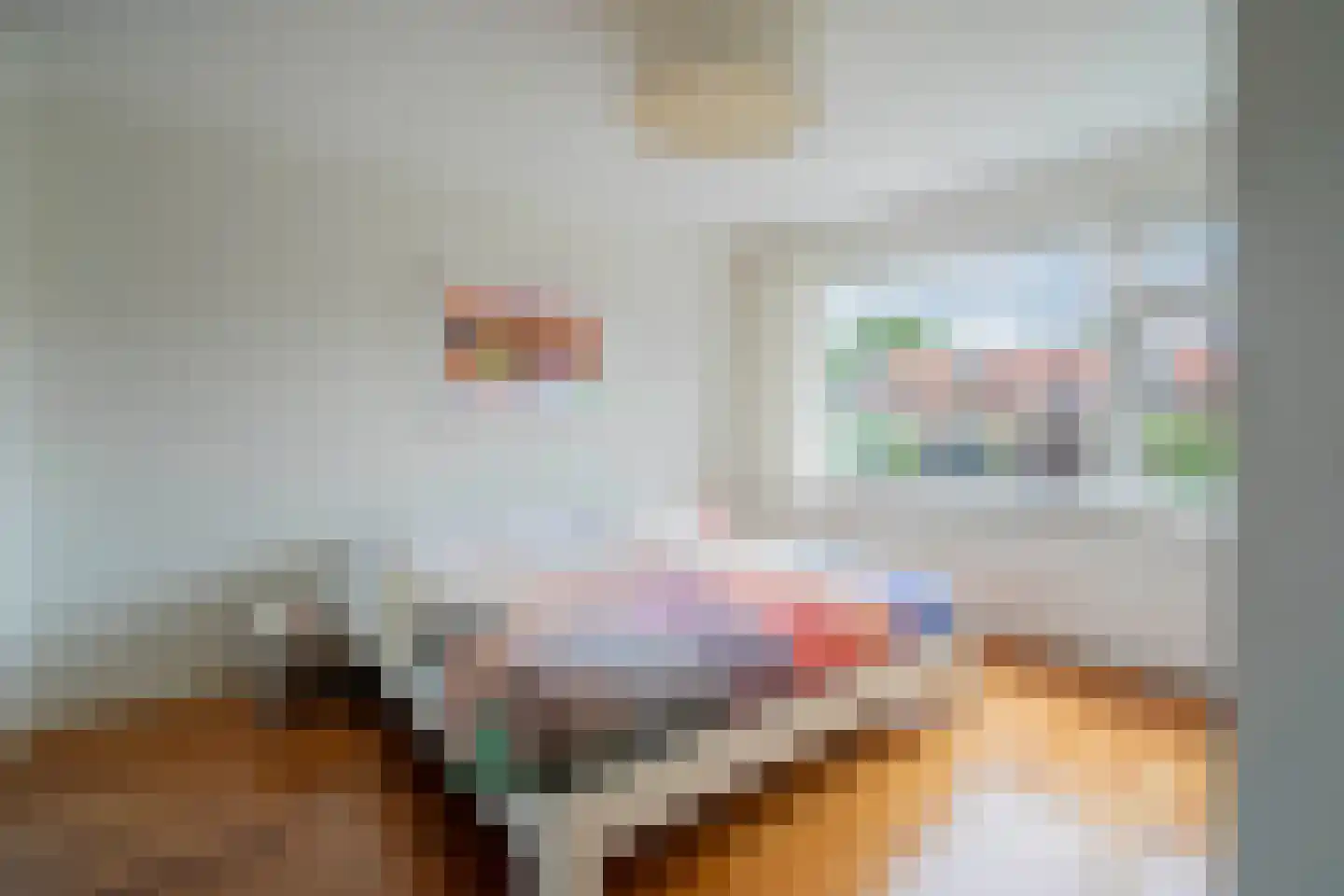 Tesselschadeplantsoen 10 Driehuis NH thumbnail 18