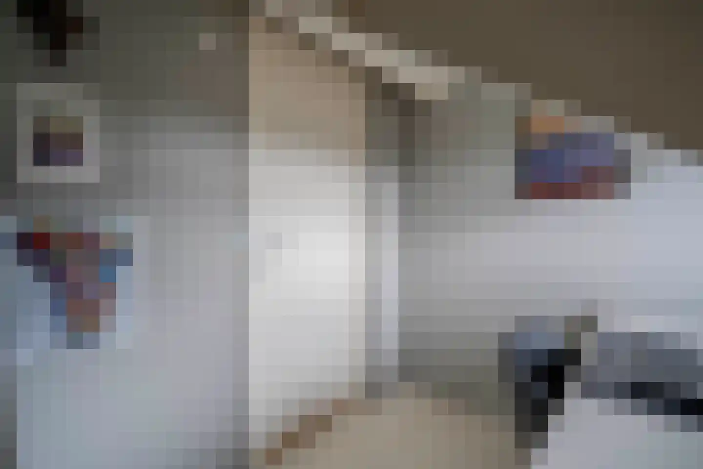 Tesselschadeplantsoen 10 Driehuis NH thumbnail 35