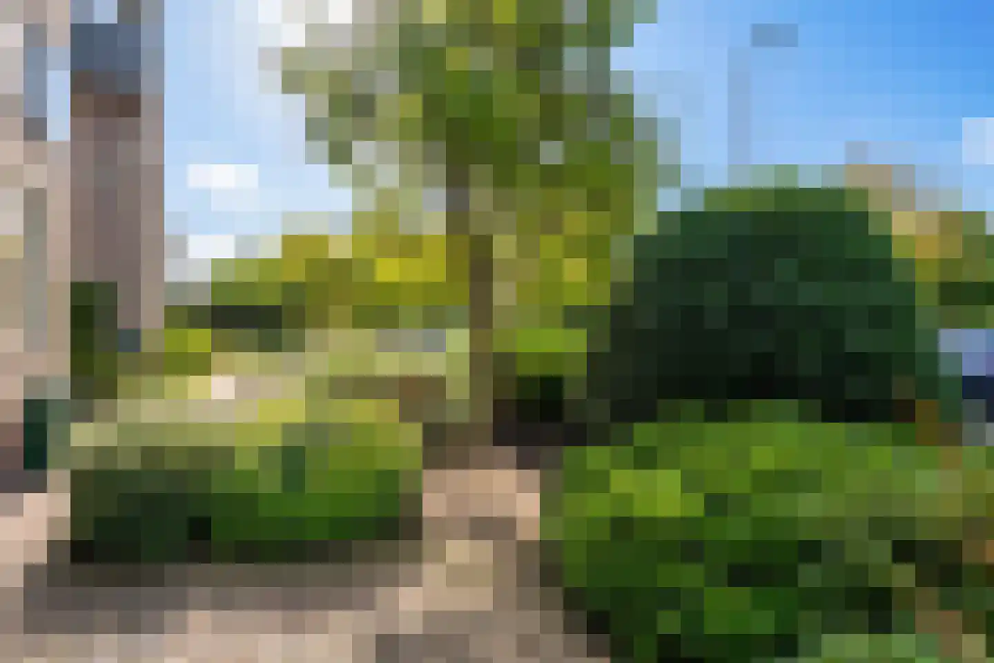 Tesselschadeplantsoen 10 Driehuis NH thumbnail 42
