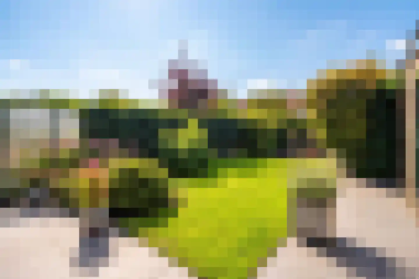 Tesselschadeplantsoen 10 Driehuis NH thumbnail 9