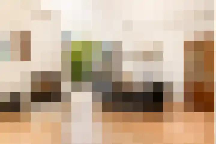 Tesselschadeplantsoen 14 Driehuis NH thumbnail 14