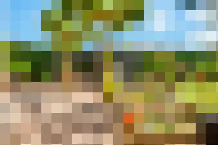 Tesselschadeplantsoen 14 Driehuis NH thumbnail 33