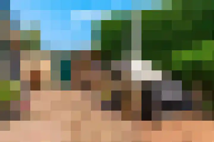 Tesselschadeplantsoen 14 Driehuis NH thumbnail 37