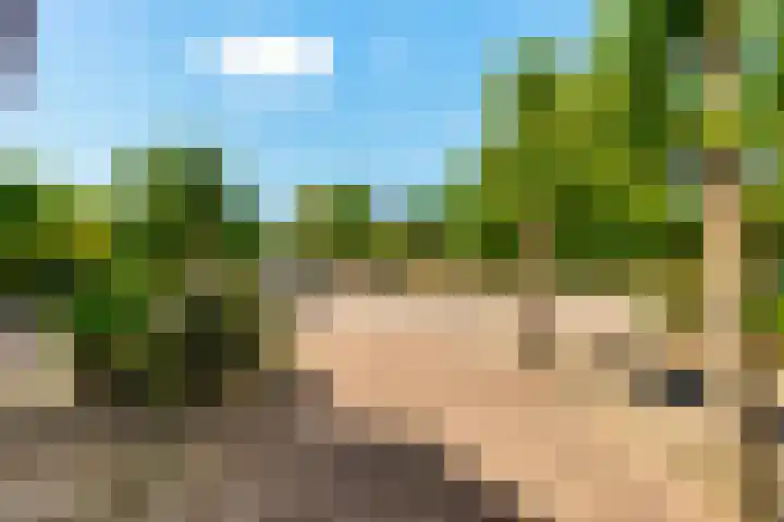 Tesselschadeplantsoen 14 Driehuis NH thumbnail 7