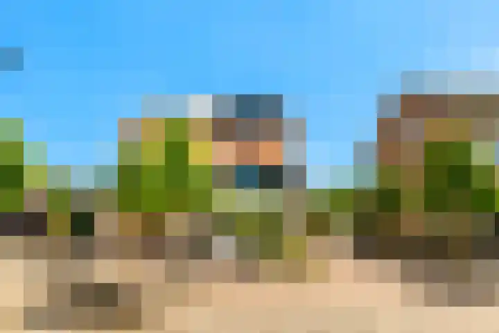 Tesselschadeplantsoen 14 Driehuis NH thumbnail 8
