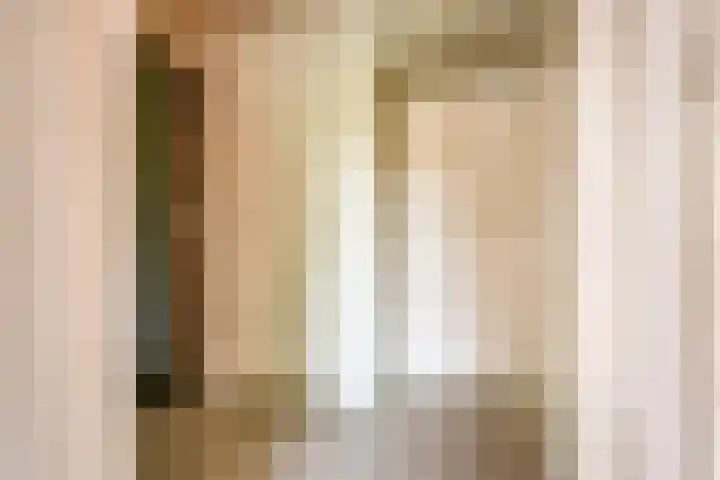 Tesselschadeplein 12 Haarlem thumbnail 13