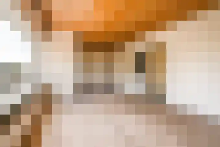 Tesselschadeplein 12 Haarlem thumbnail 6