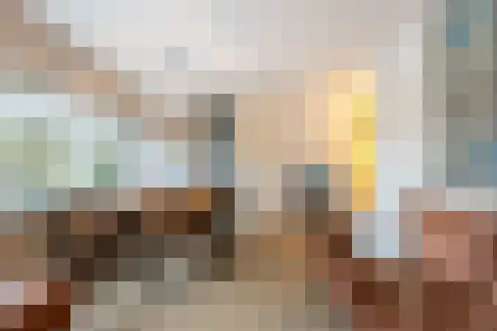 Tesselschadeplein 14 Haarlem thumbnail 11
