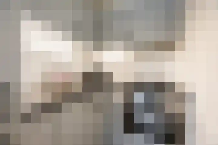 Tesselschadeplein 14 Haarlem thumbnail 12