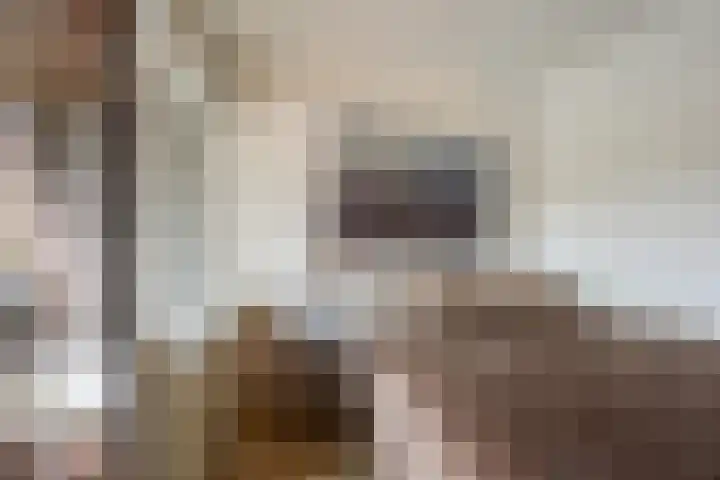 Tesselschadeplein 14 Haarlem thumbnail 13