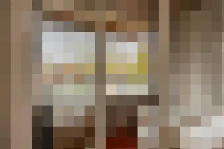 Tesselschadeplein 14 Haarlem thumbnail 14