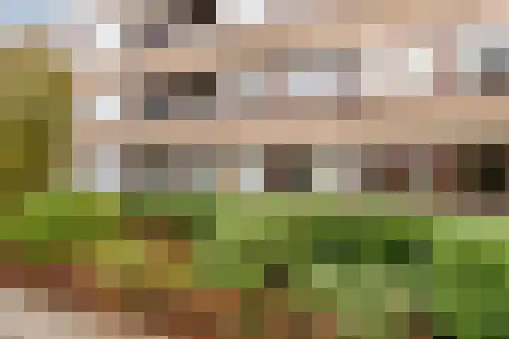 Tesselschadeplein 14 Haarlem thumbnail 6