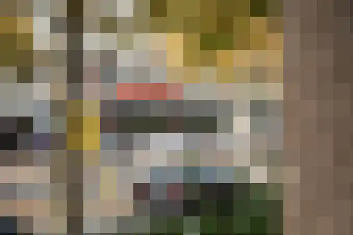 Tesselschadeplein 21 Haarlem thumbnail 17