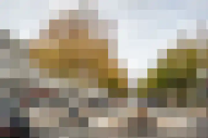 Tesselschadeplein 21 Haarlem thumbnail 18