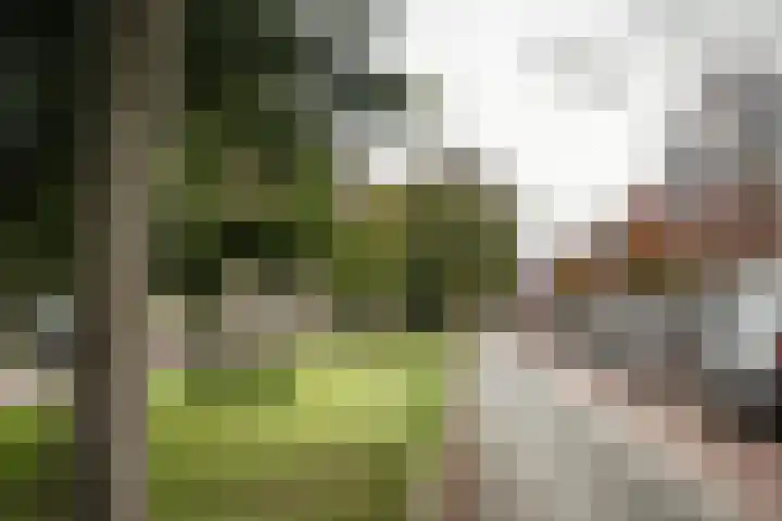 Tesselschadeplein 21 Haarlem thumbnail 19