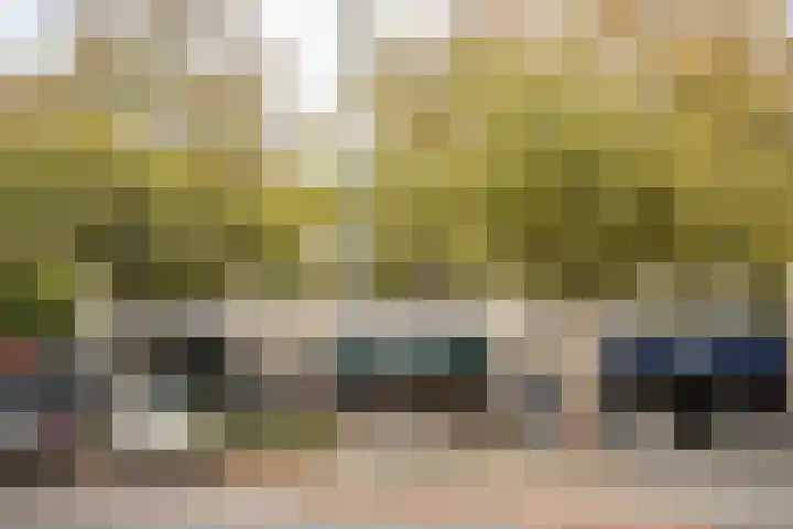 Tesselschadeplein 21 Haarlem thumbnail 20