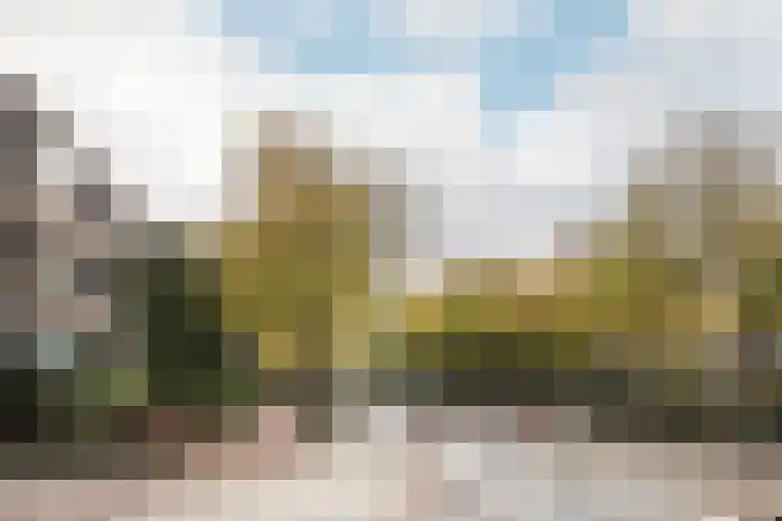 Tesselschadeplein 21 Haarlem thumbnail 21