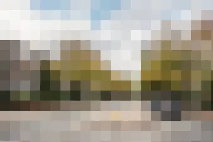 Tesselschadeplein 21 Haarlem thumbnail 22
