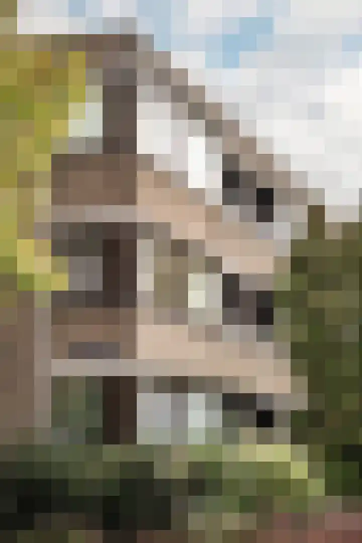 Tesselschadeplein 21 Haarlem thumbnail 23