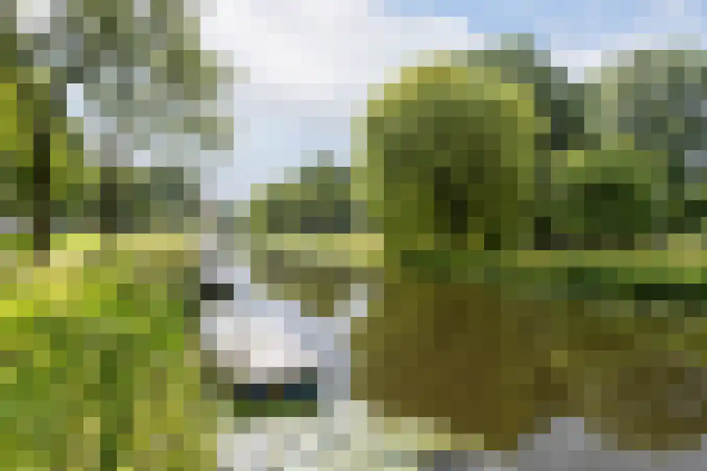 Tesselschadeplein 28 Haarlem thumbnail 25