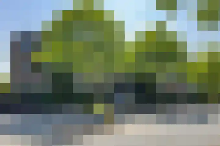 Tesselschadeplein 31 Haarlem thumbnail 18