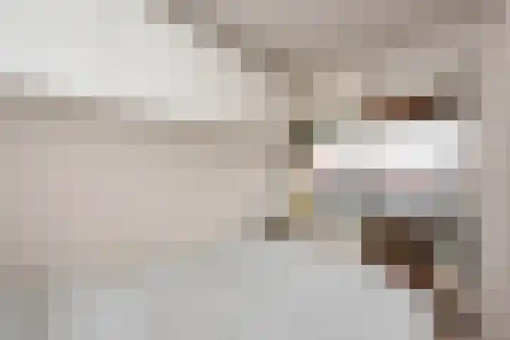 Tesselschadeplein 31 Haarlem thumbnail 5