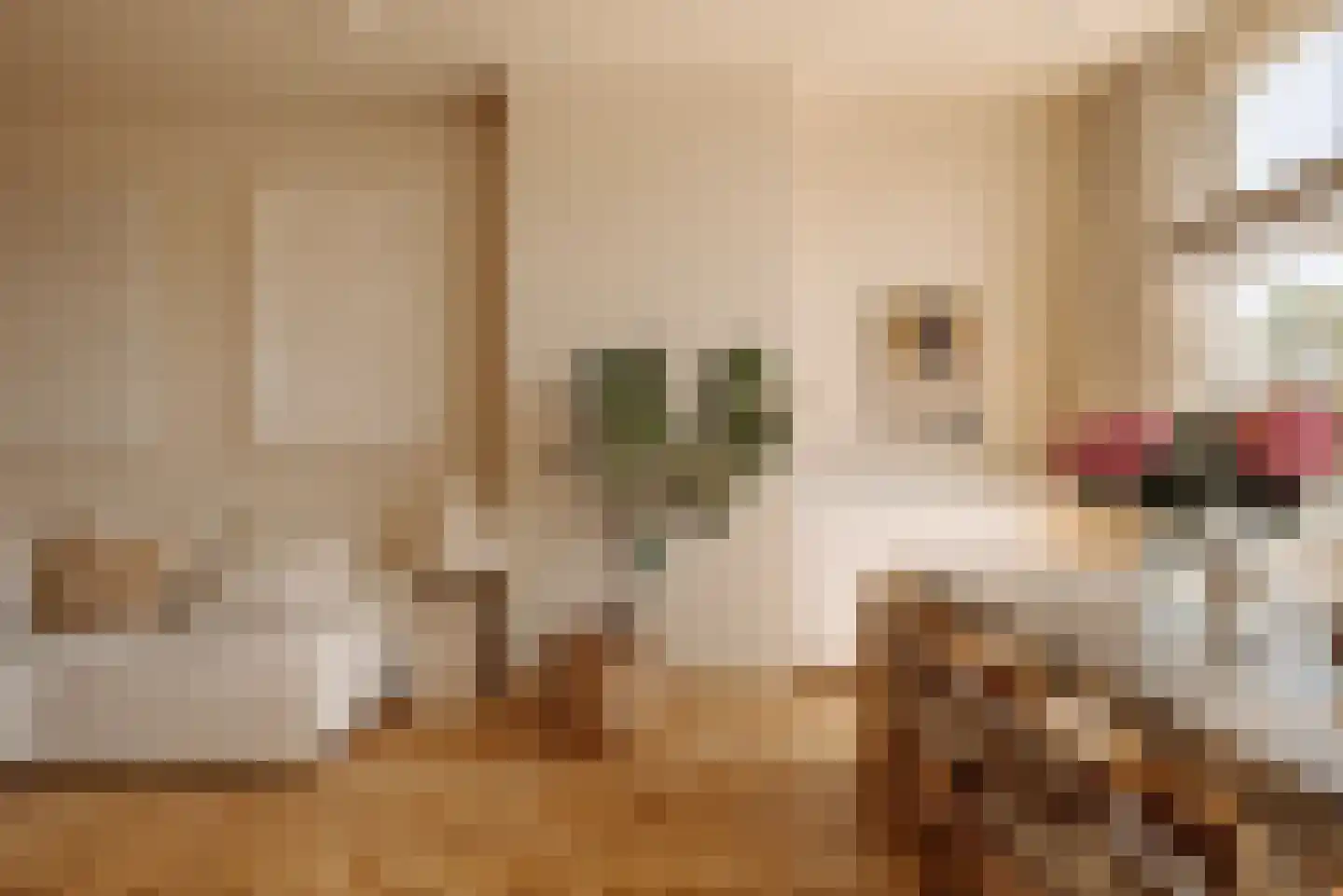 Tesselschadestraat 1 H 2 Amsterdam thumbnail 14
