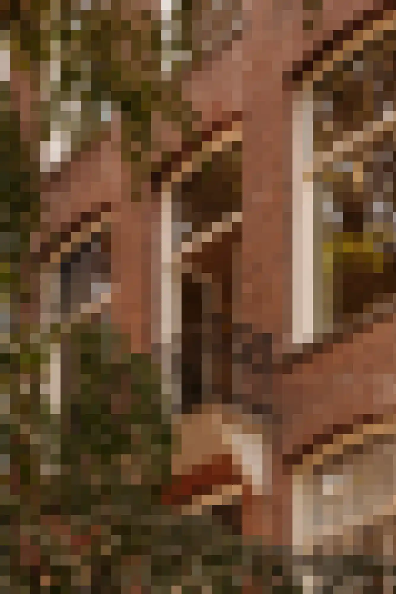 Tesselschadestraat 1 H 2 Amsterdam thumbnail 25