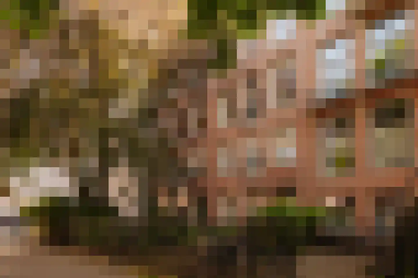 Tesselschadestraat 1 H 2 Amsterdam thumbnail 6