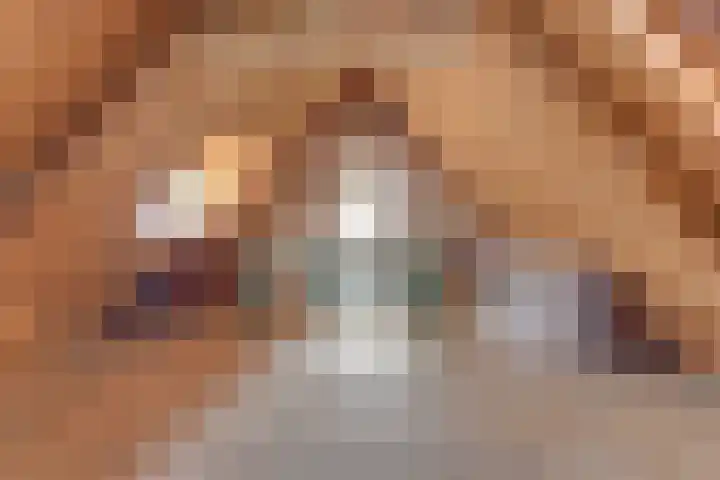 Tesselschadestraat 10 Alkmaar thumbnail 37