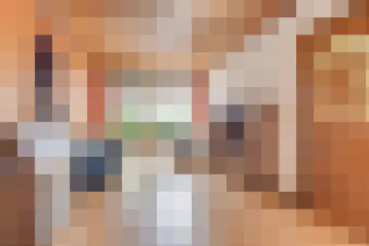 Tesselschadestraat 10 Alkmaar thumbnail 8
