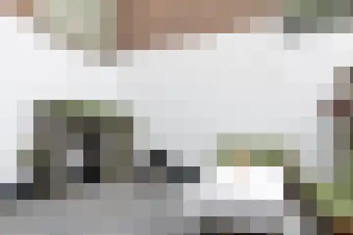 Tesselschadestraat 13 Utrecht thumbnail 33