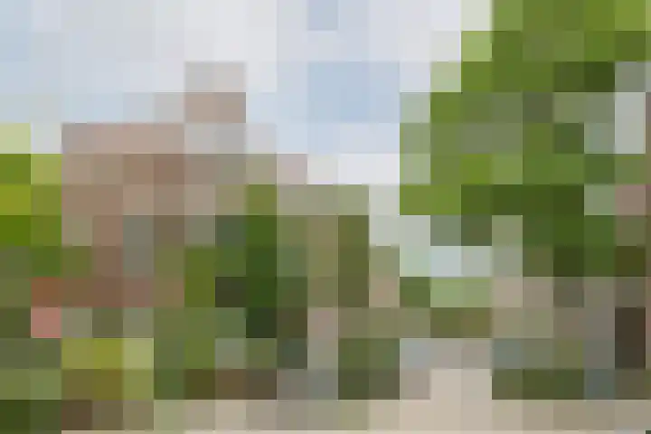 Tesselschadestraat 13 Utrecht thumbnail 48