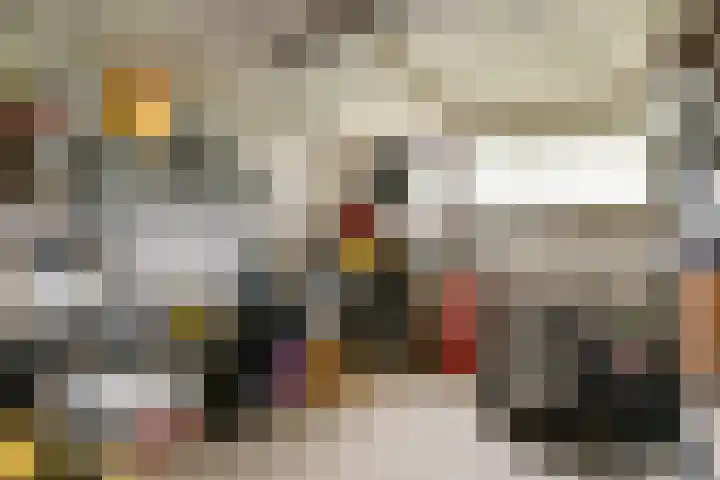 Tesselschadestraat 14 Hendrik-Ido-Ambacht thumbnail 23