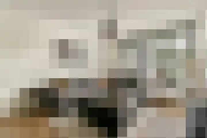 Tesselschadestraat 14 Hendrik-Ido-Ambacht thumbnail 6