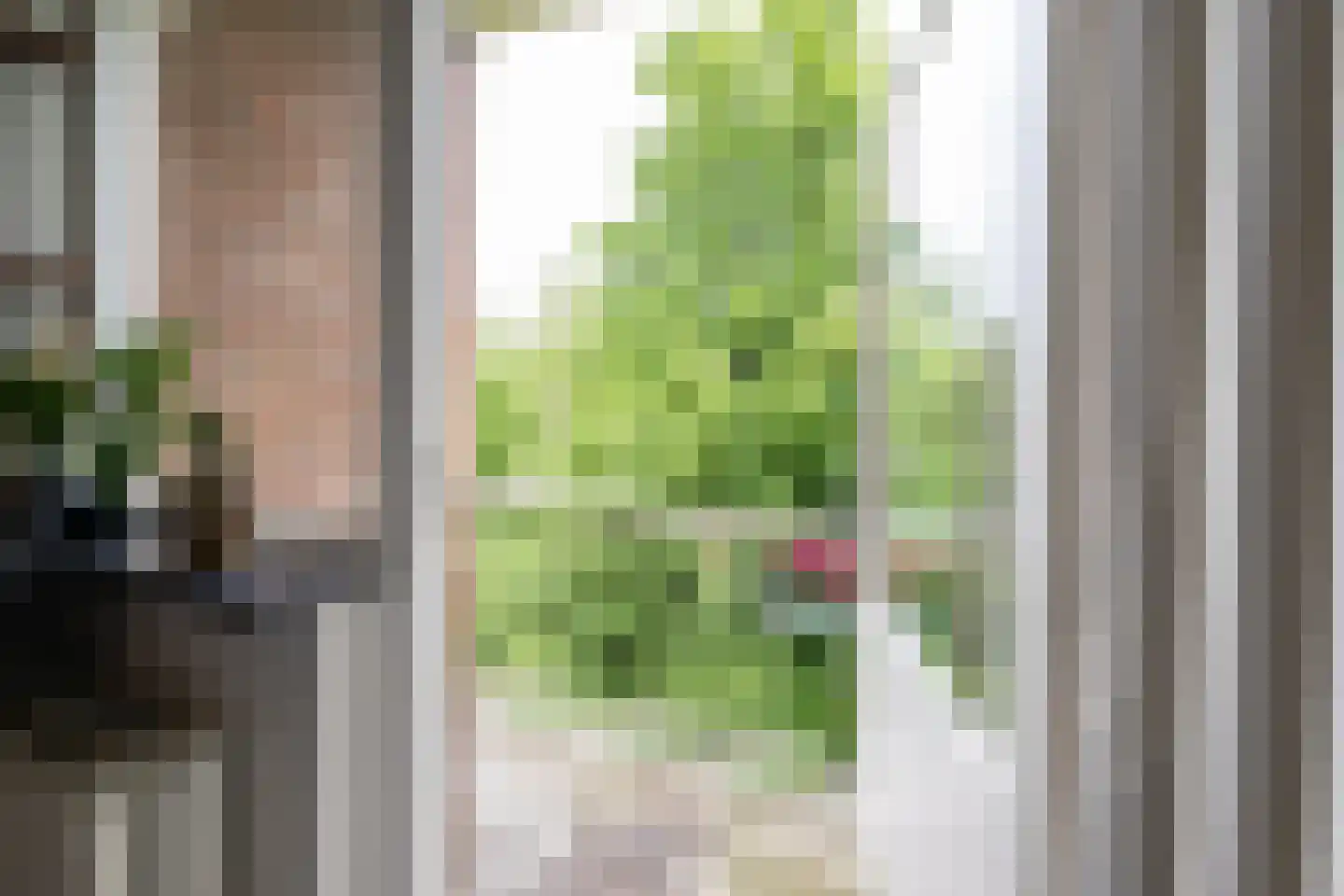 Tesselschadestraat 149 Zwolle thumbnail 17