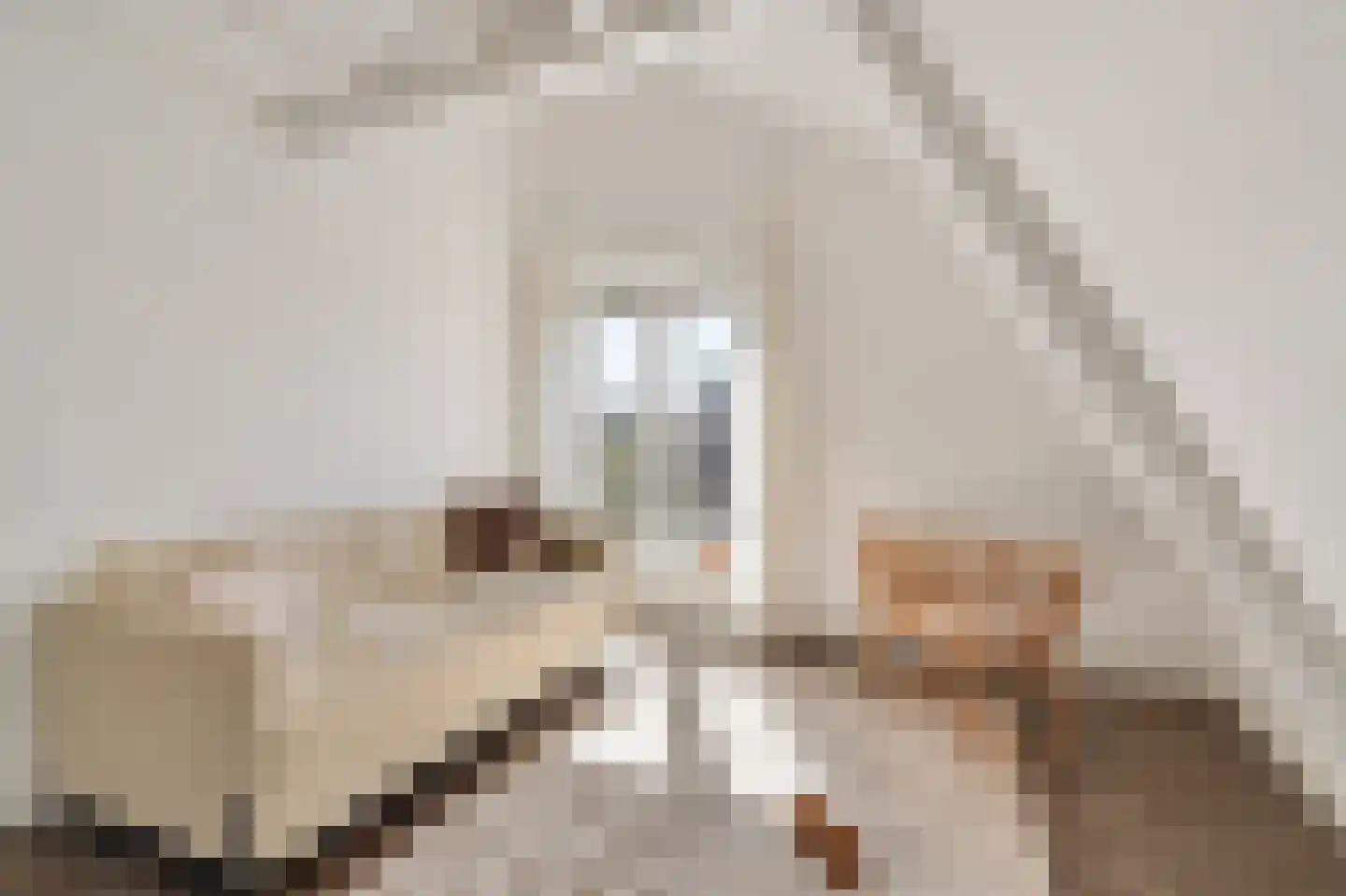 Tesselschadestraat 15 C Amsterdam thumbnail 35